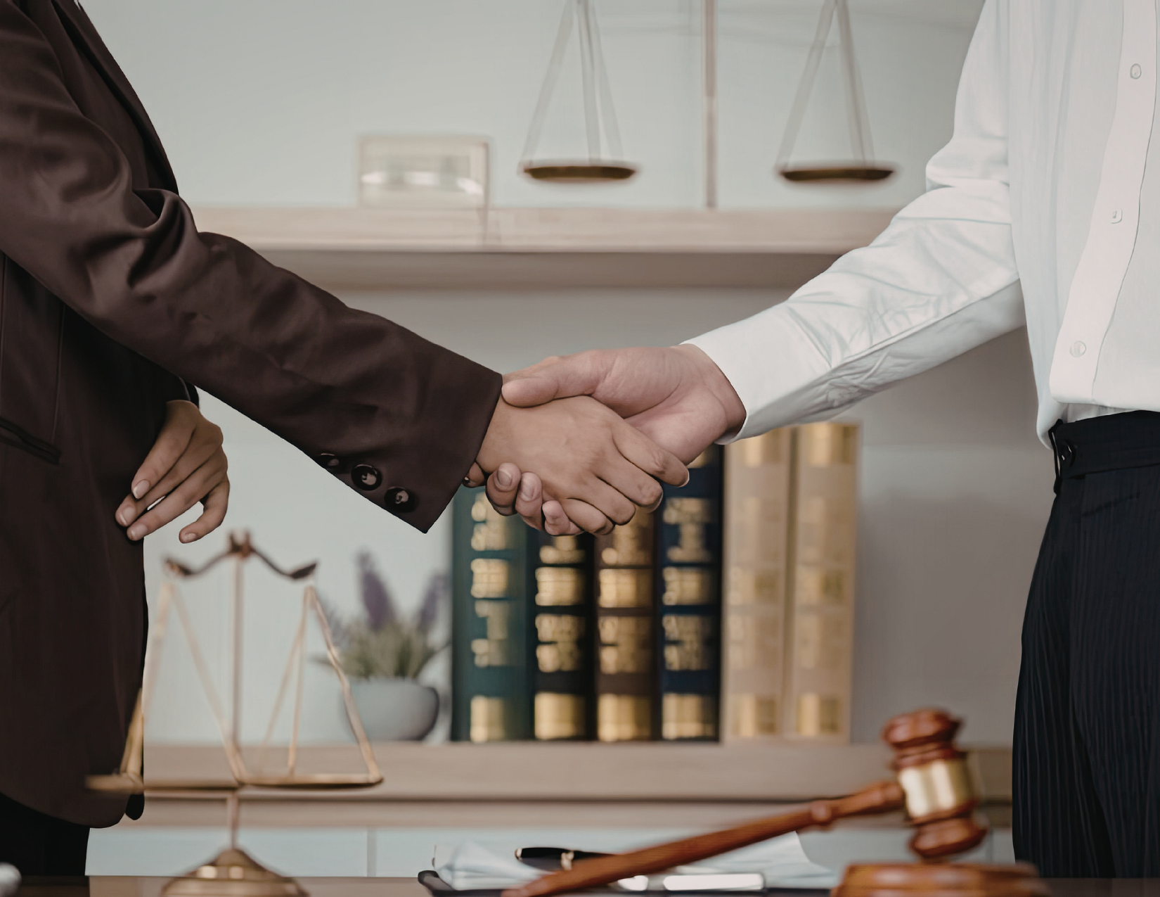 Professional consultation meeting